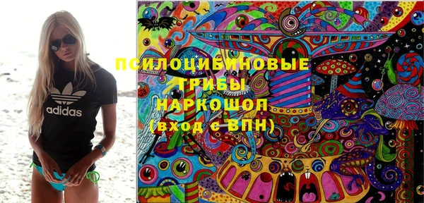 ПСИЛОЦИБИНОВЫЕ ГРИБЫ Арсеньев