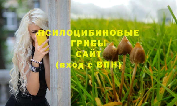 гидропоника Нея
