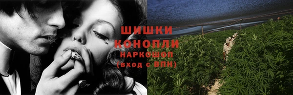 ПСИЛОЦИБИНОВЫЕ ГРИБЫ Арсеньев